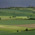 Un portrait statistique de l’agriculture dans l’UE