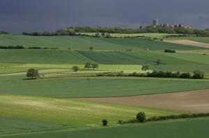 Un portrait statistique de l’agriculture dans l’UE