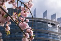 Les institutions européennes : qui fait quoi ?