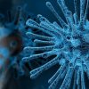 Soutien financier de l'UE aux communautés nationales, régionales et locales luttant contre le Coronavirus