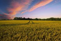 La Commission annonce des mesures exceptionnelles pour soutenir le secteur agroalimentaire