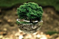 Concours : L’environnement, c’est mon affaire !
