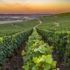 Plus de 300 millions d’euros d'investissements européens en Champagne-Ardenne entre 2014 et 2019