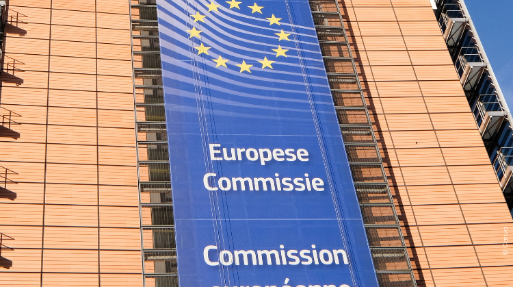 Stage Blue Book de la Commission européenne