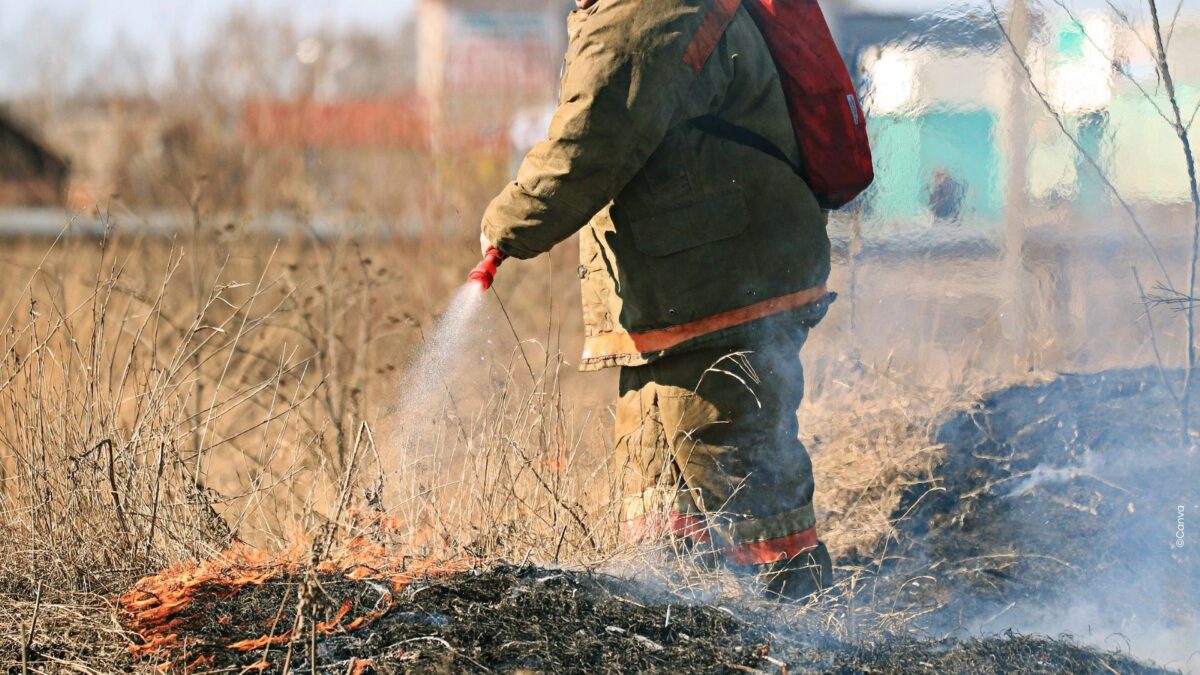 Incendies de Forêts : L’UE active son Mécanisme de protection civile