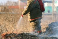 Incendies de Forêts : L’UE active son Mécanisme de protection civile