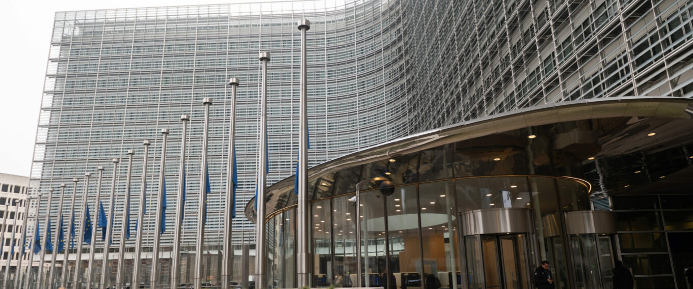 Un stage Livre bleu à la Commission européenne
